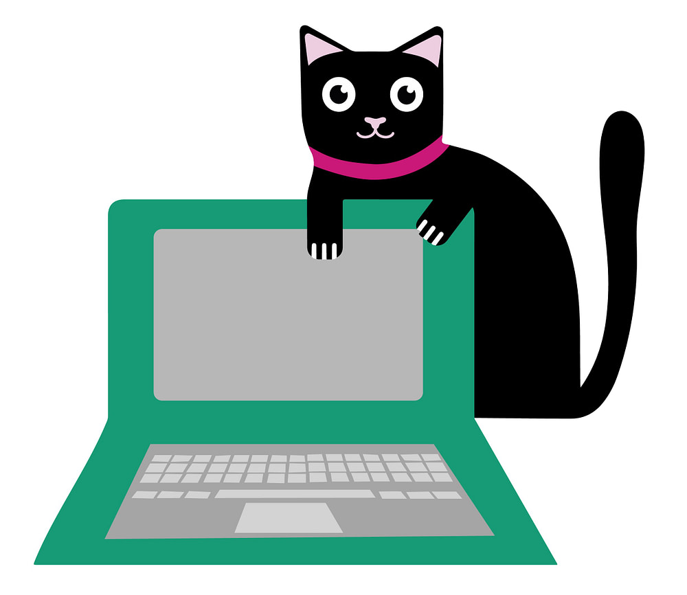schwarze Katze mit Laptop-online-Katzentierärztin