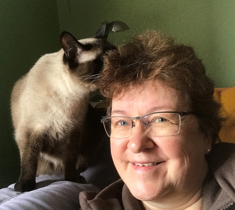 Telemedizin Katzen Portrait mit Katze Telemedizin Katzen Portrait mit Katze