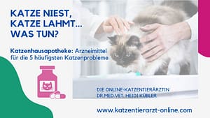 Katzentierarzt-online-Katzenhausapotheke Katze-niest-Katze-lahmt-Katzenhausapotheke